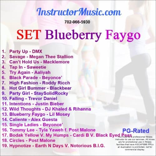 SET Blueberry Faygo